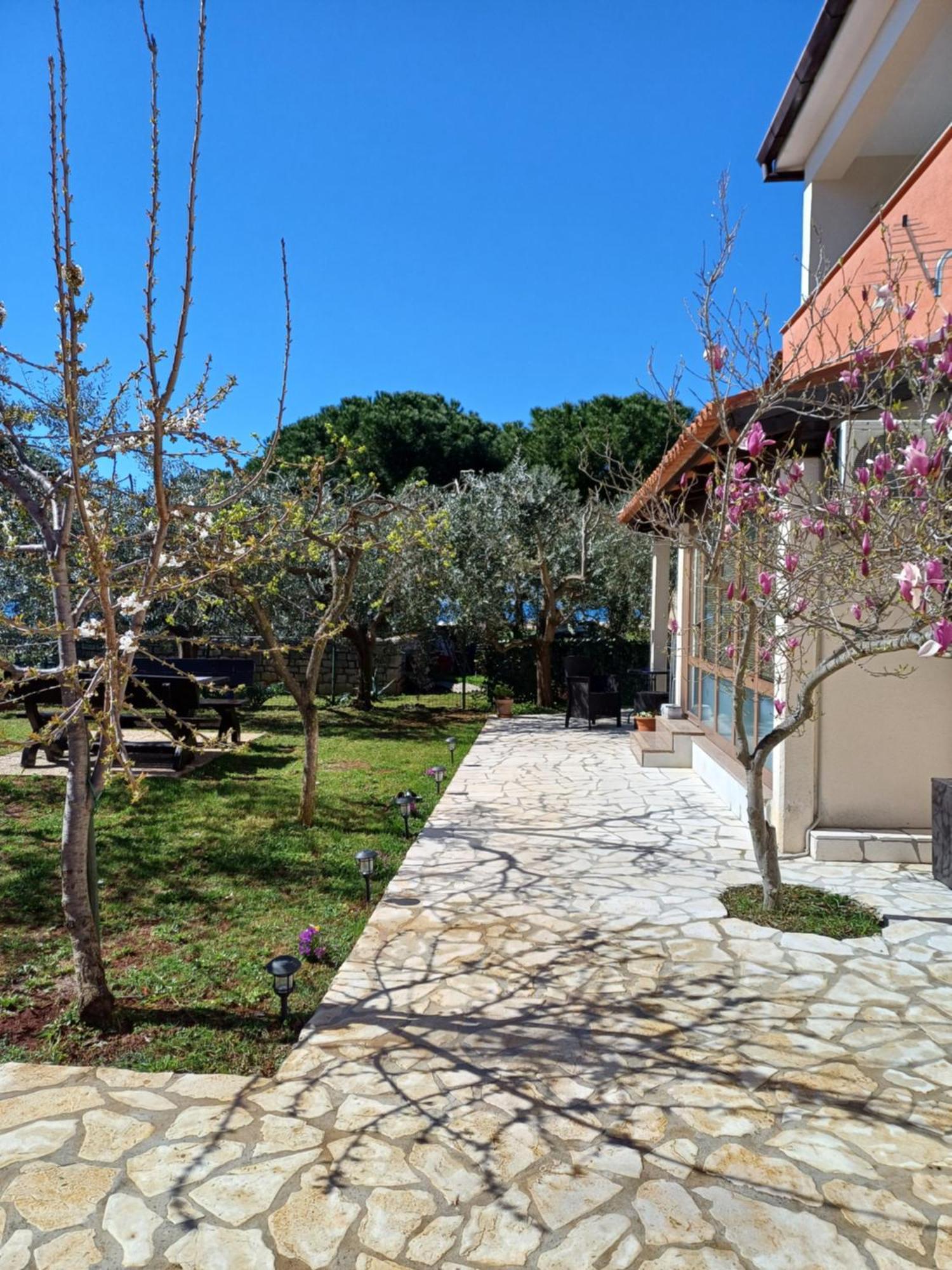אומאג Apartments Grahovac מראה חיצוני תמונה