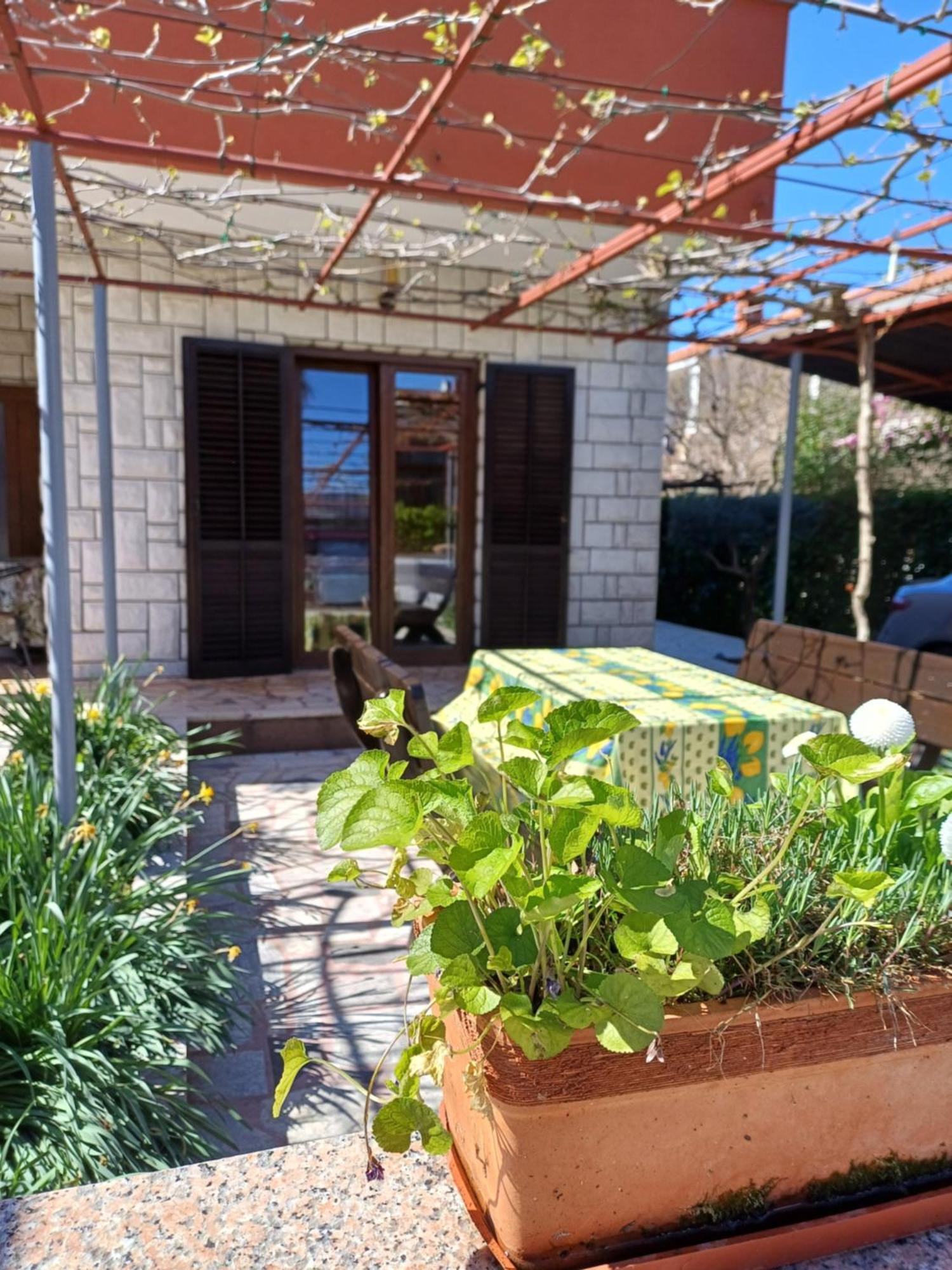 אומאג Apartments Grahovac מראה חיצוני תמונה