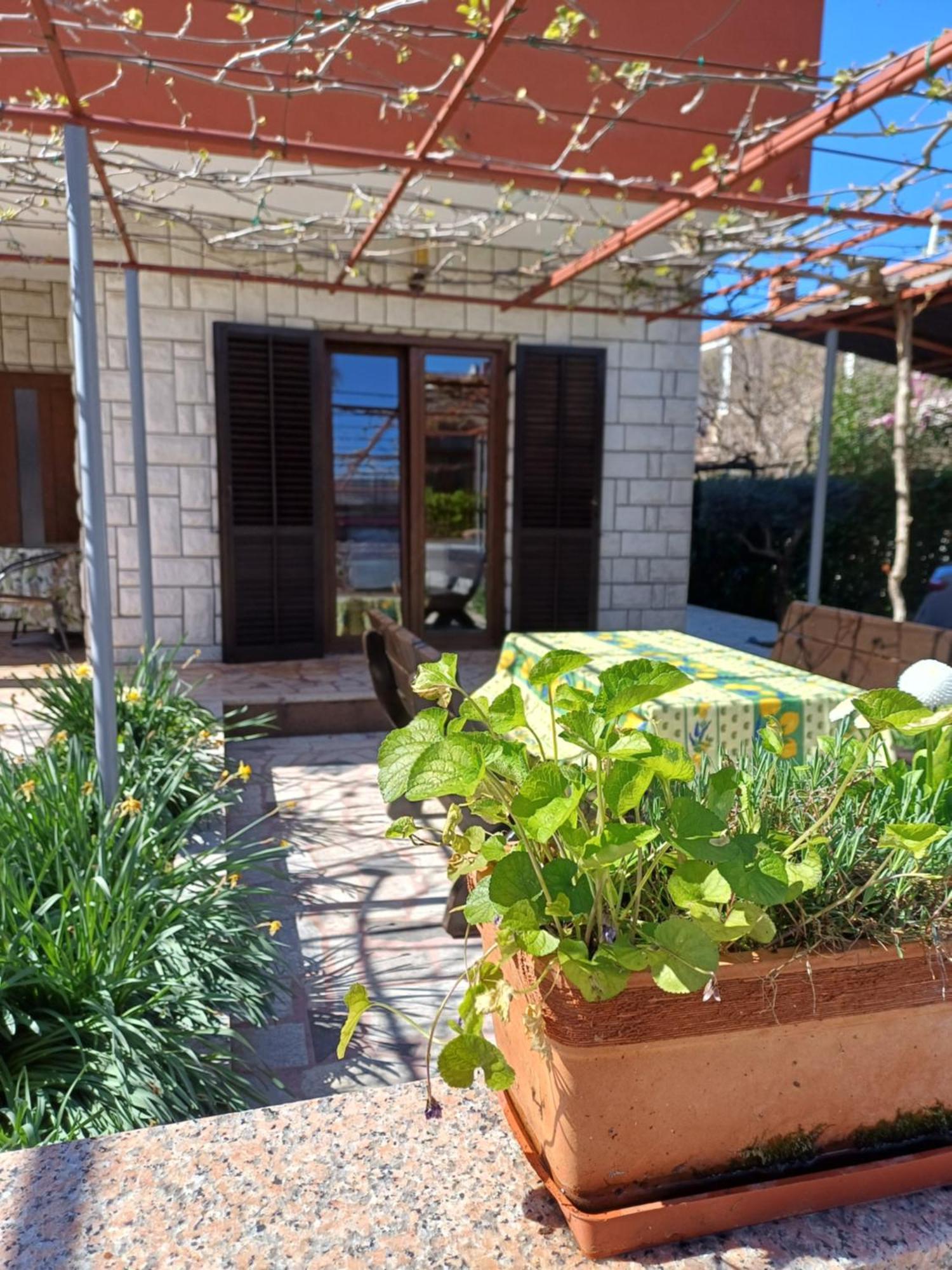 אומאג Apartments Grahovac מראה חיצוני תמונה