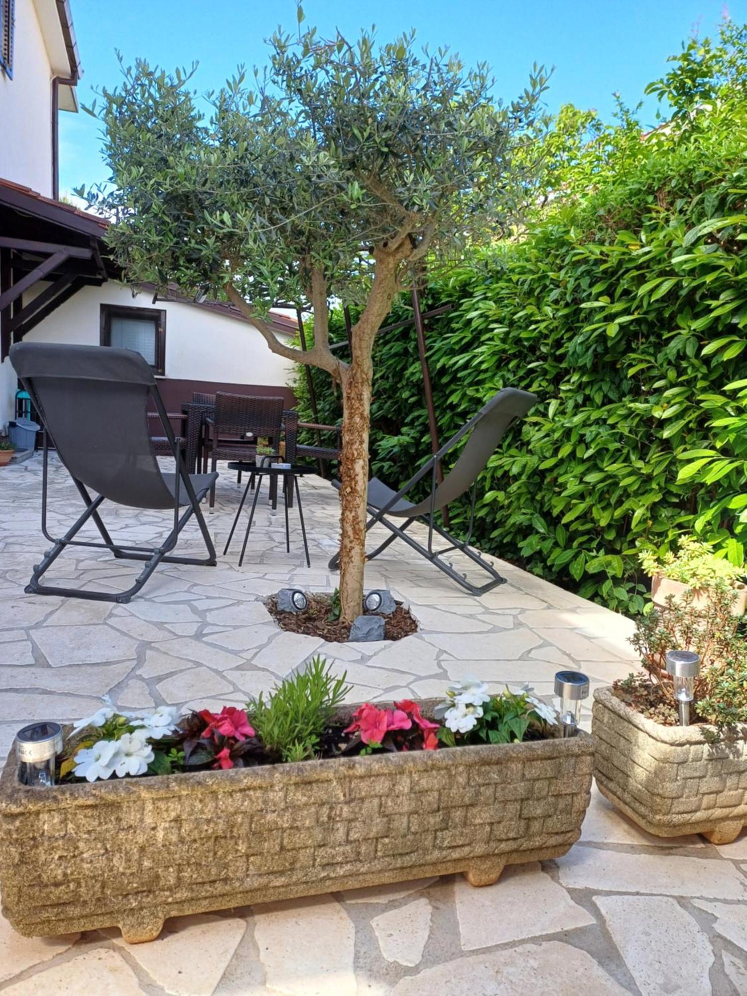 אומאג Apartments Grahovac מראה חיצוני תמונה